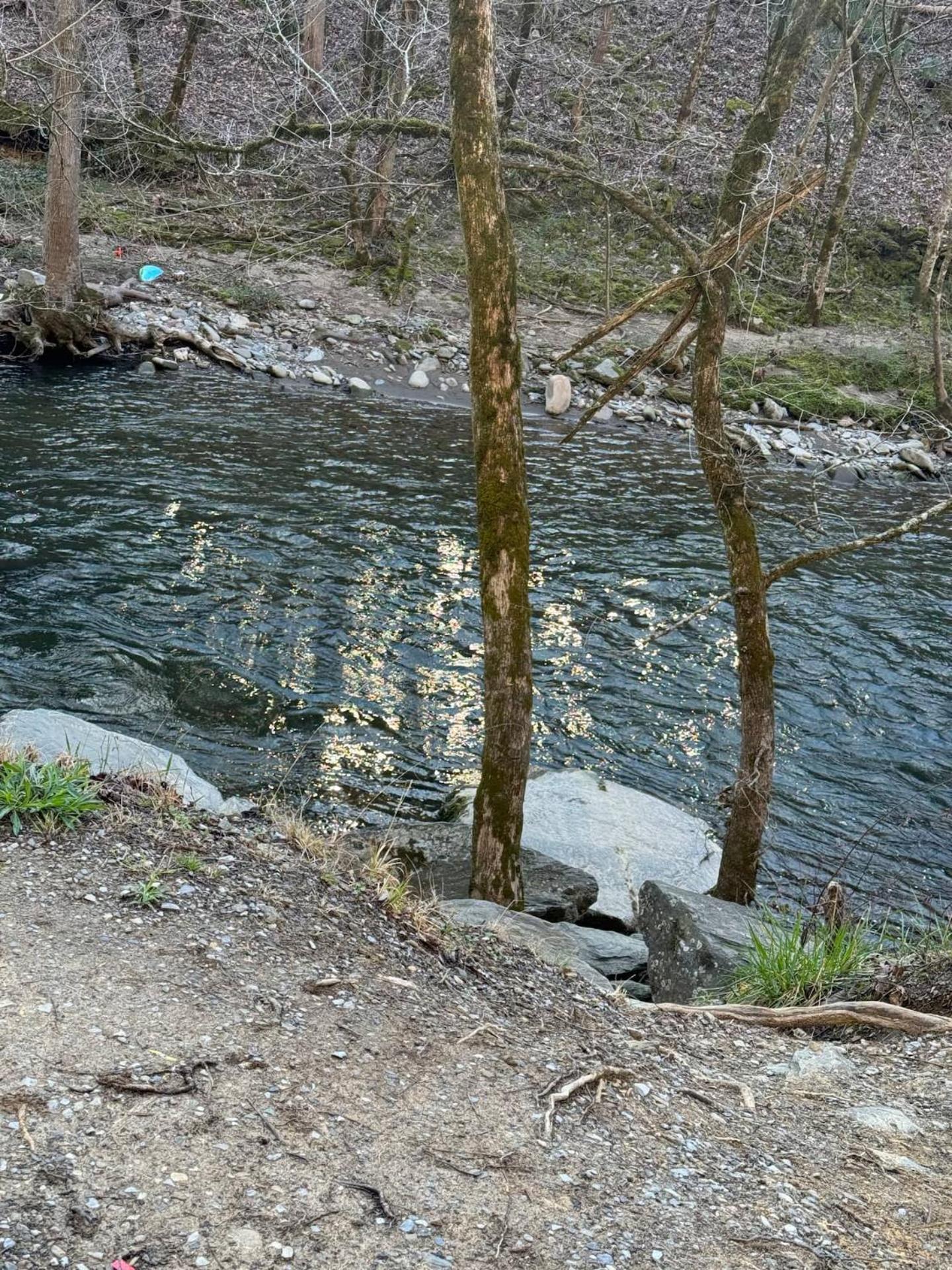 1 Mile To Pkwy, Pets, Hot Tub, Creekside, Porch Villa Pigeon Forge Exterior photo